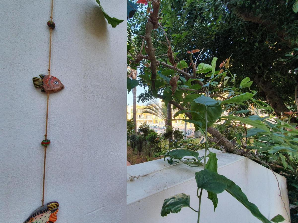 Nice 2 Bedroom Apartment Groundfloor Swimming Pool Tavira Luaran gambar